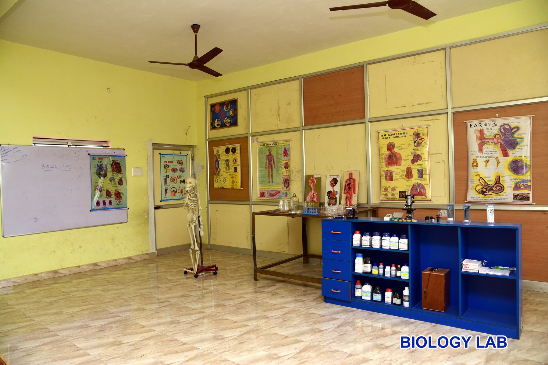 Biology Room